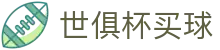 世俱杯买球中国官方网站 - 线上买球官方平台,实时投注